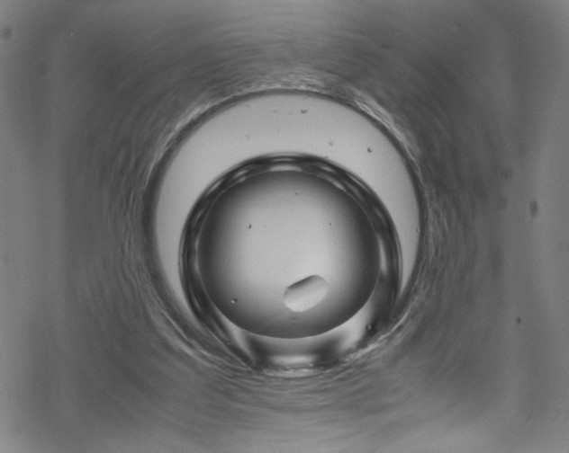 X0000070190203200606021106