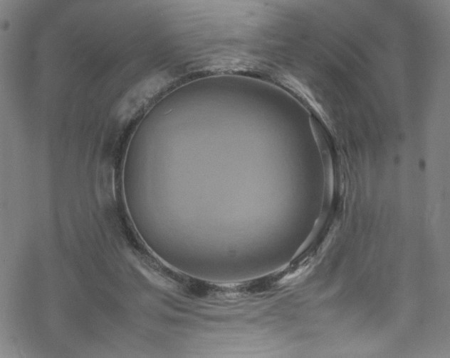 X0000070190205200606021105