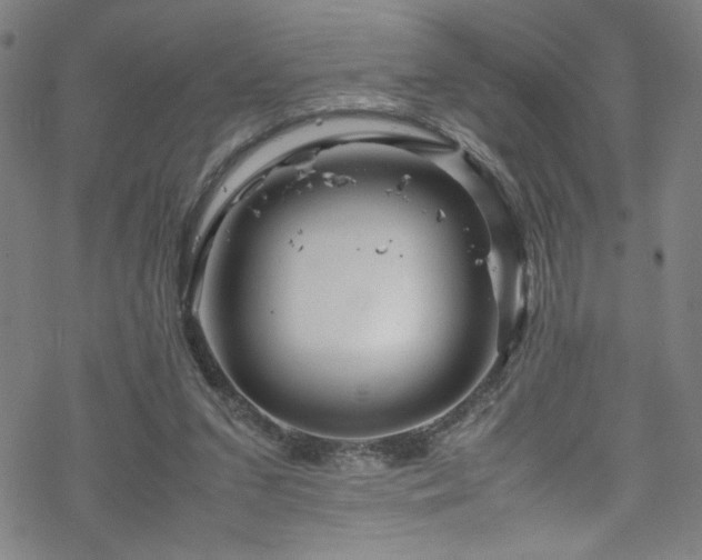 X0000070190207200606021105