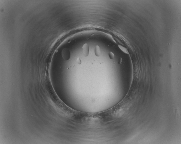 X0000070190208200606021105