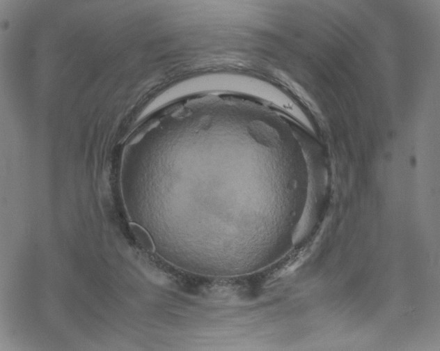 X0000070190209200606021105