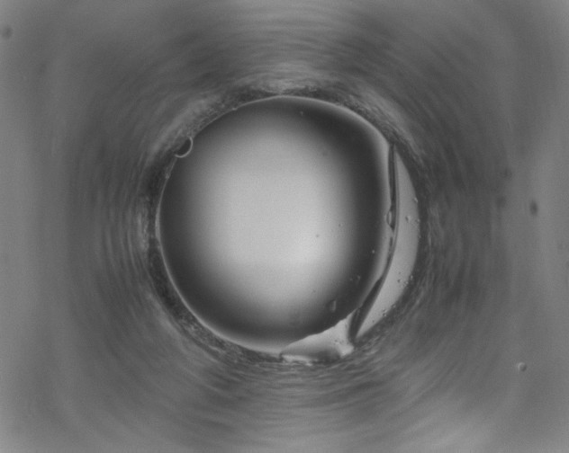 X0000070190210200606021105