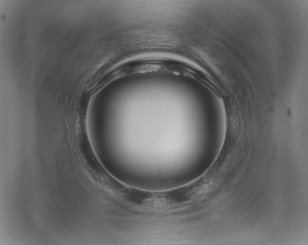 X0000070190211200606021105