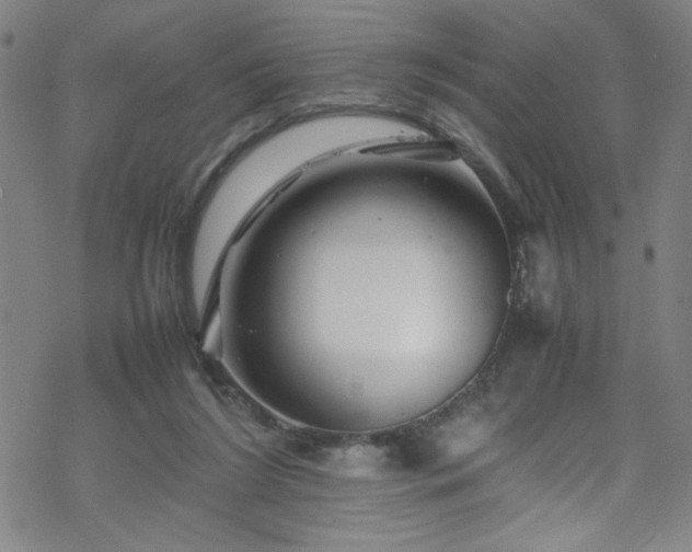 X0000070190212200606021105