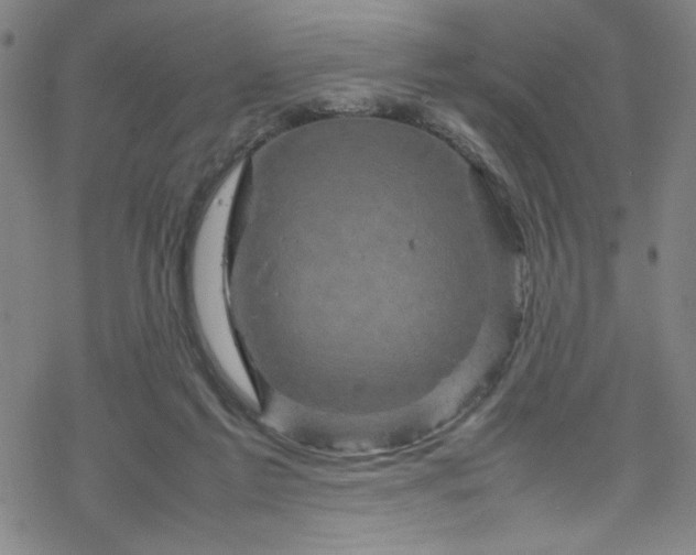 X0000070190213200606021105