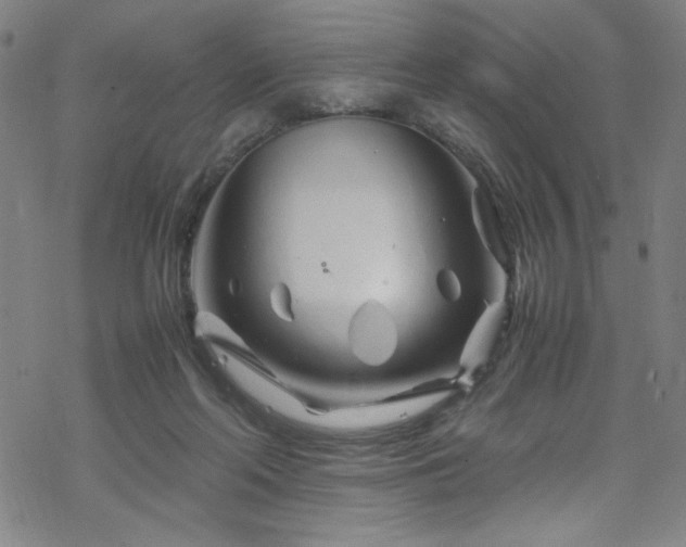 X0000070190214200606021105