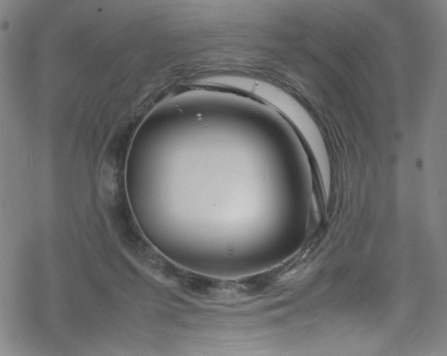 X0000070190215200606021105