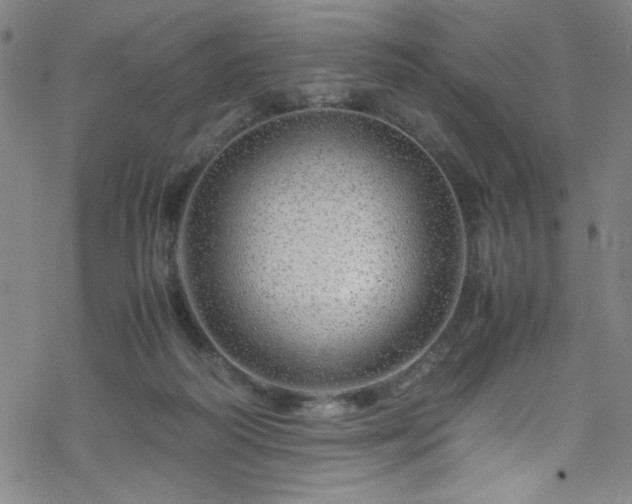 X0000070190218200606021105