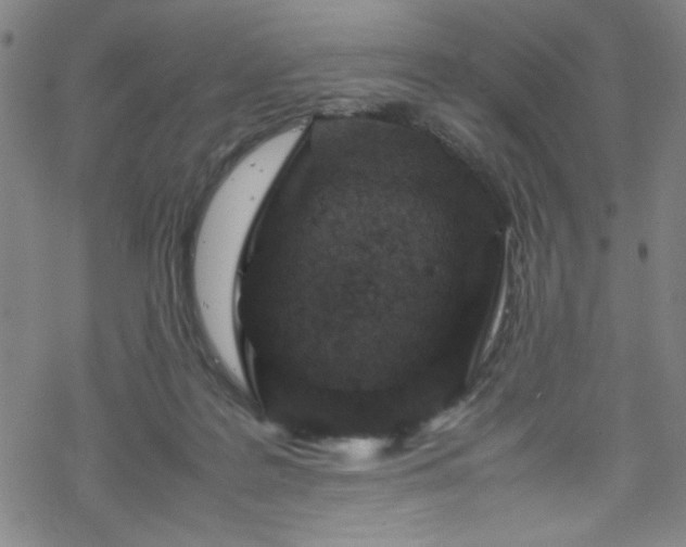 X0000070190219200606021105