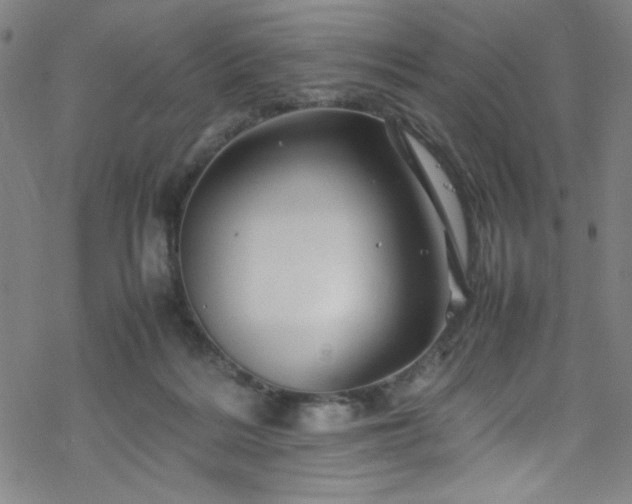 X0000070190220200606021105