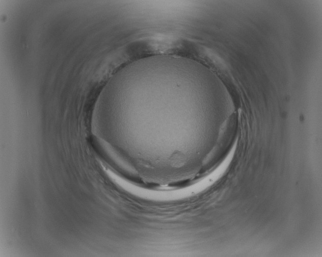 X0000070190221200606021105