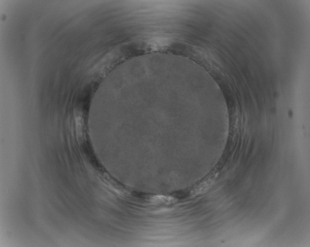 X0000070190222200606021105