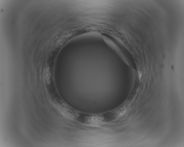 X0000070190223200606021105