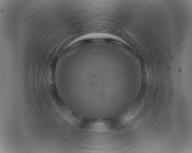 X0000070190224200606021105