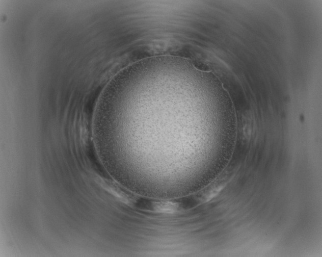 X0000070190226200606021105