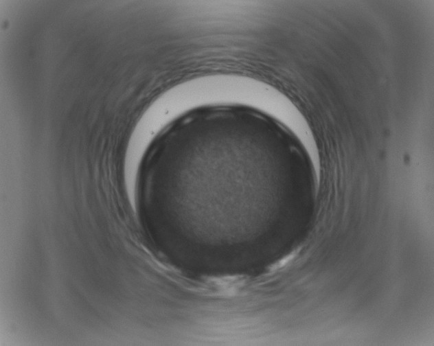 X0000070190227200606021105