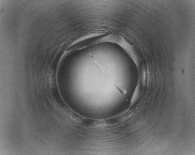 X0000070190228200606021105