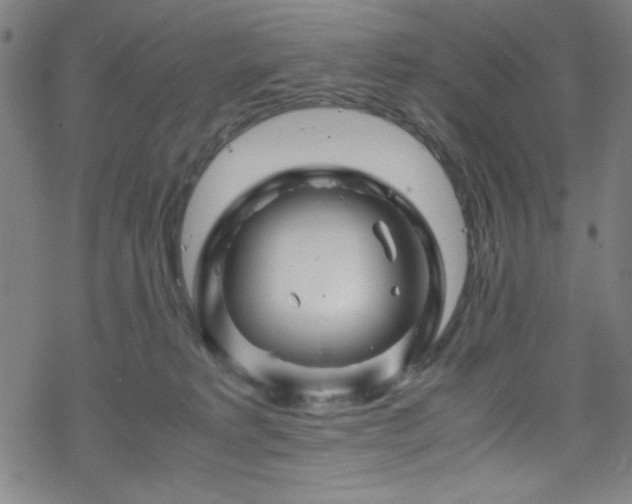 X0000070190229200606021105