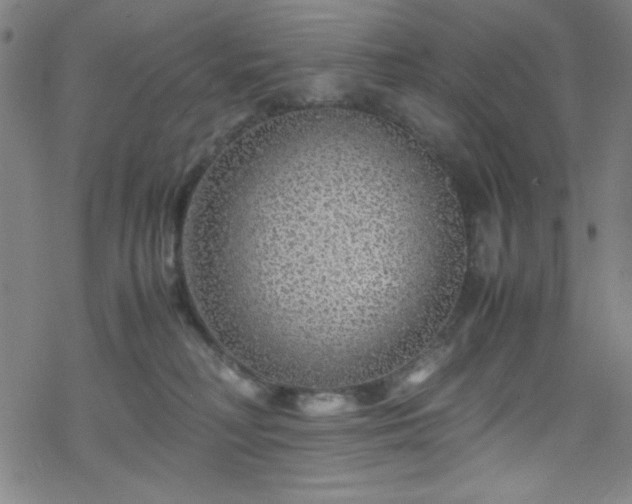 X0000070190230200606021105