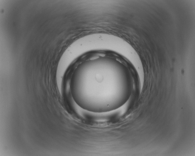 X0000070190231200606021105