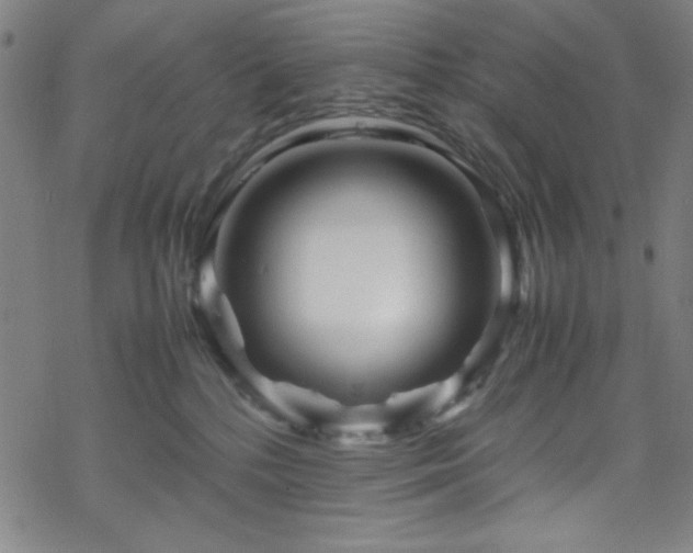 X0000070190232200606021105