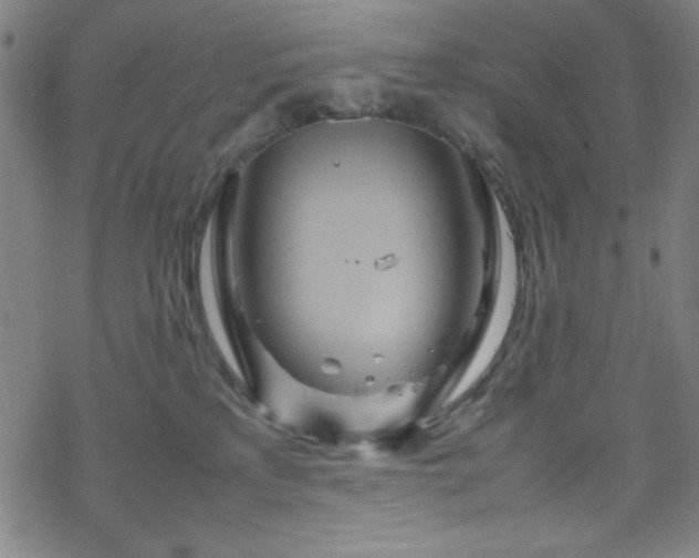 X0000070190233200606021105