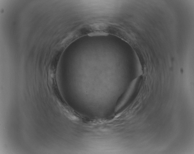 X0000070190235200606021105