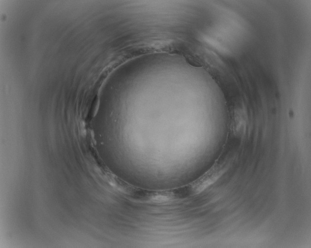 X0000070190236200606021105