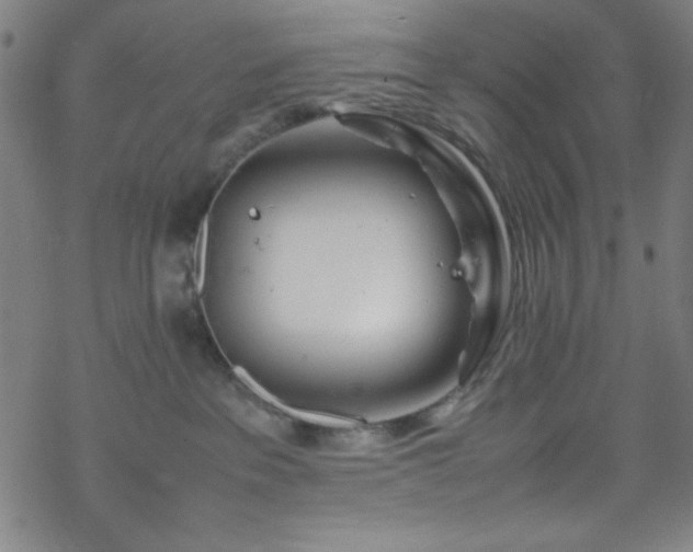 X0000070190237200606021105