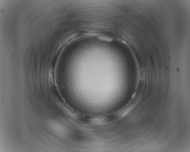 X0000070190238200606021105