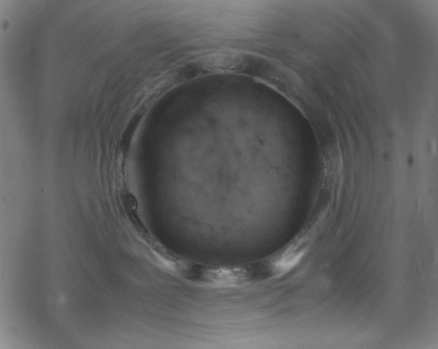 X0000070190239200606021105