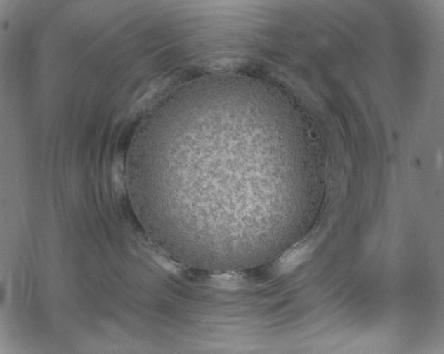 X0000070190240200606021105