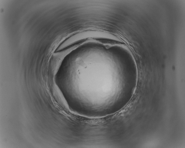 X0000070190241200606021104