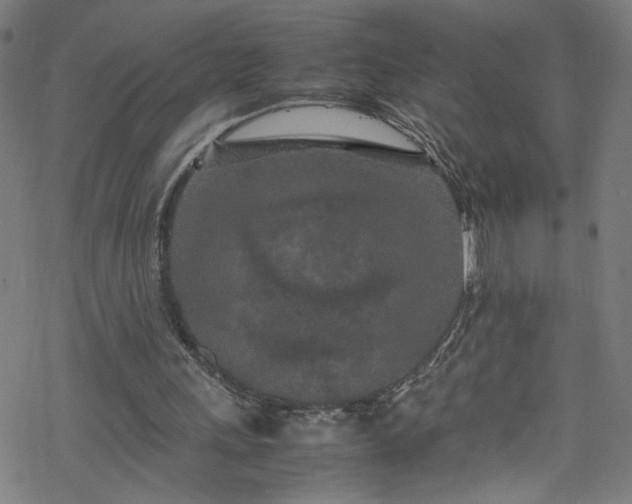 X0000070190243200606021104