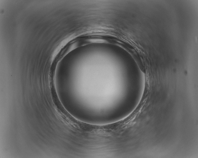 X0000070190244200606021104