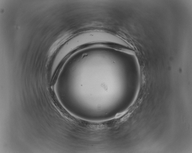 X0000070190245200606021104