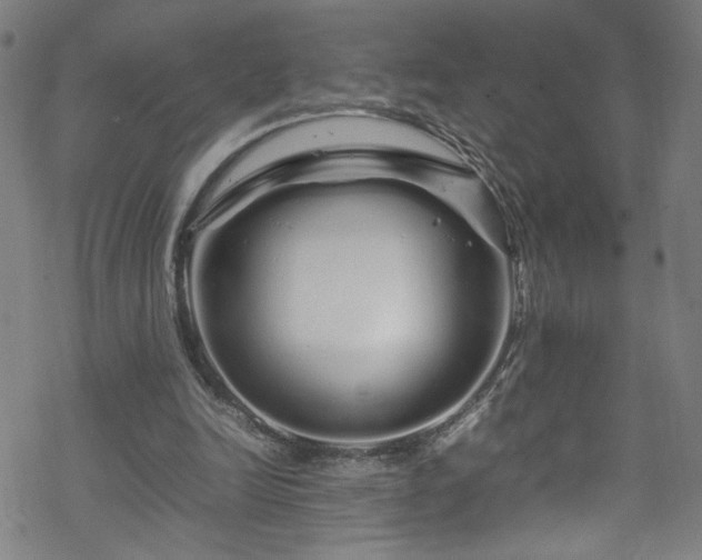 X0000070190246200606021104