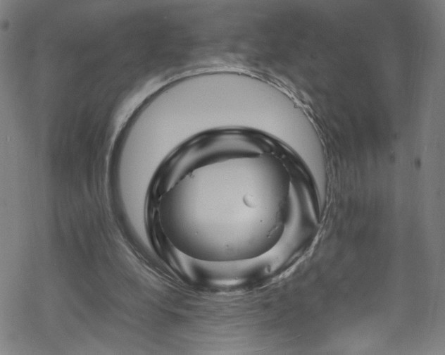 X0000070190248200606021104