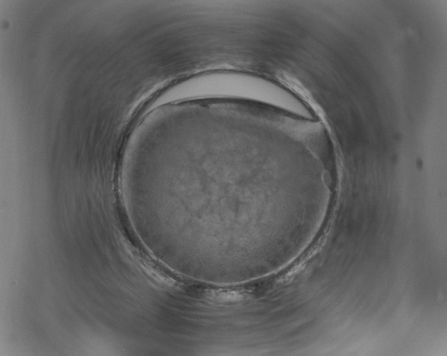 X0000070190249200606021104