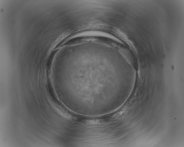 X0000070190250200606021104