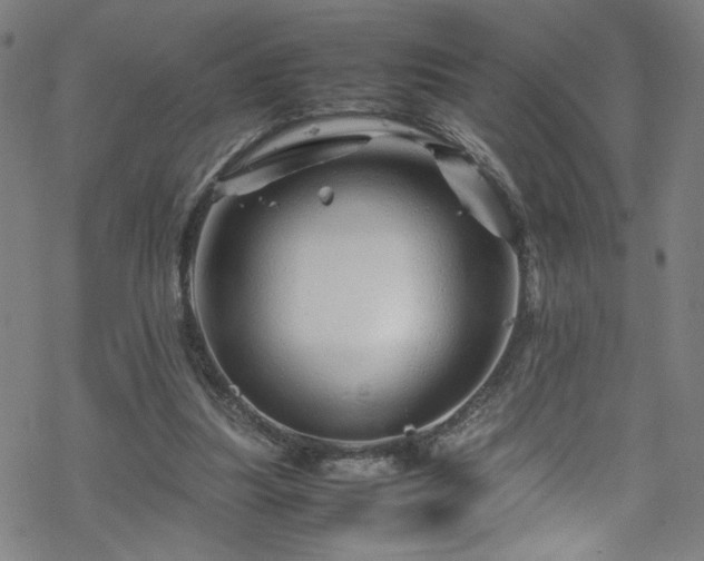 X0000070190251200606021104