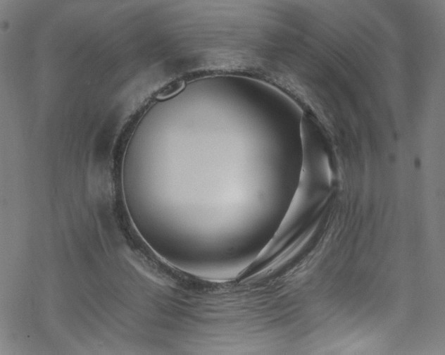 X0000070190252200606021104