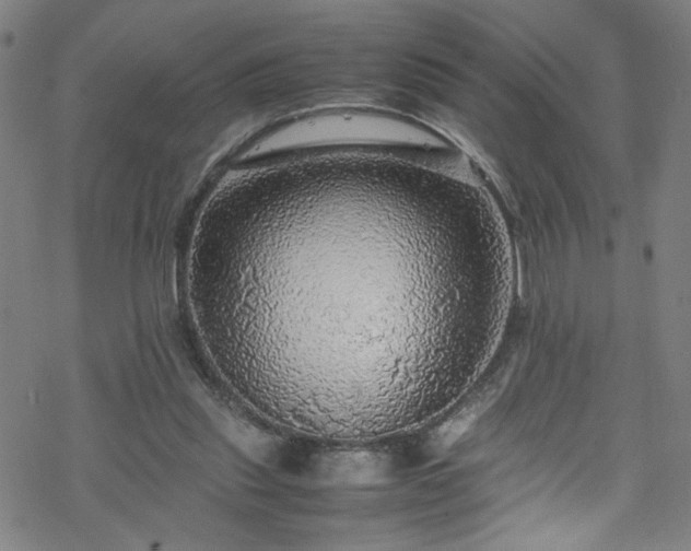 X0000070190253200606021104