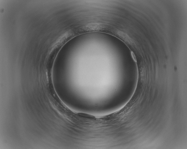 X0000070190254200606021104