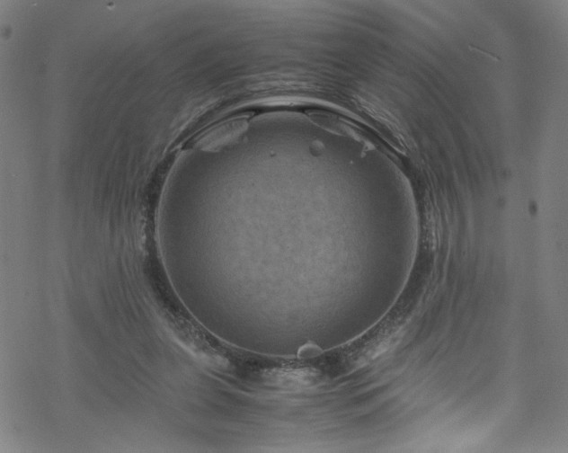 X0000070190255200606021104