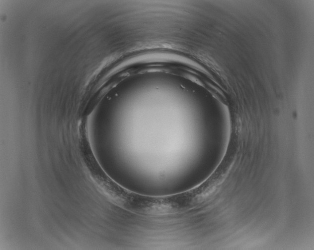 X0000070190256200606021104