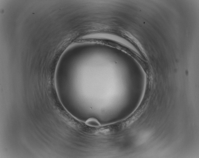 X0000070190257200606021104