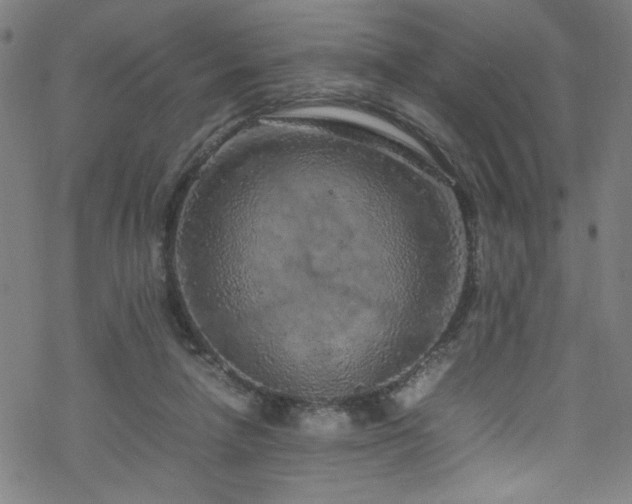 X0000070190258200606021104