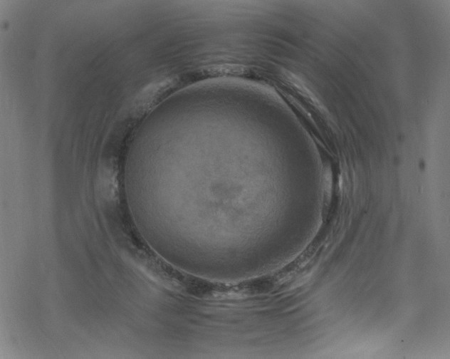 X0000070190259200606021104