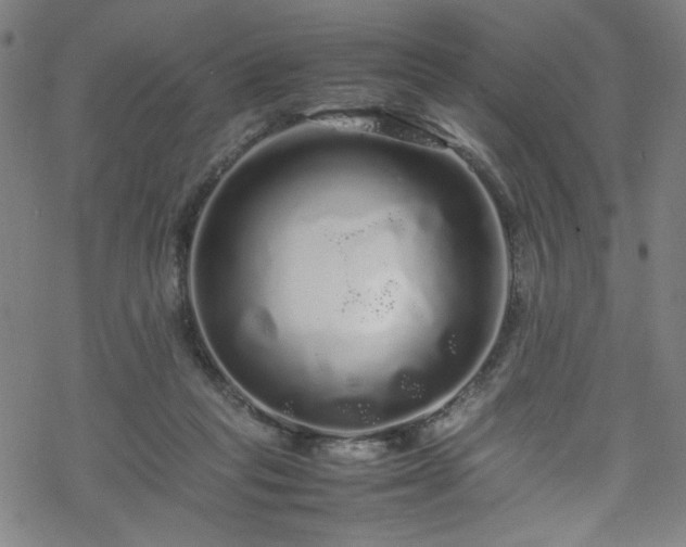 X0000070190261200606021104